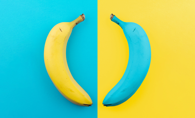 SAS VS SARL : Choisir la meilleure structure juridique pour votre entreprise en 2025